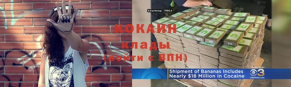 ГАЛЛЮЦИНОГЕННЫЕ ГРИБЫ Коряжма