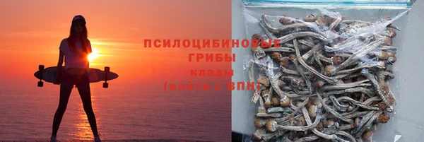 каннабис Корсаков