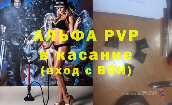 ГАЛЛЮЦИНОГЕННЫЕ ГРИБЫ Коряжма