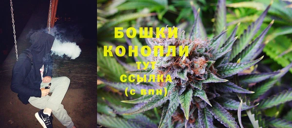 ГАЛЛЮЦИНОГЕННЫЕ ГРИБЫ Коряжма