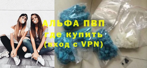 ГАЛЛЮЦИНОГЕННЫЕ ГРИБЫ Коряжма
