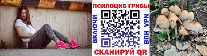 Псилоцибиновые грибы GOLDEN TEACHER  Купить  Болгар 